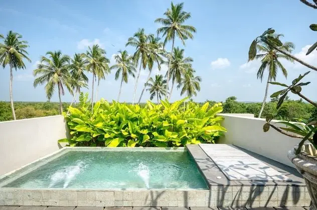 Palm Suite with Jacuzzi with One Free 60 min Spa treatment