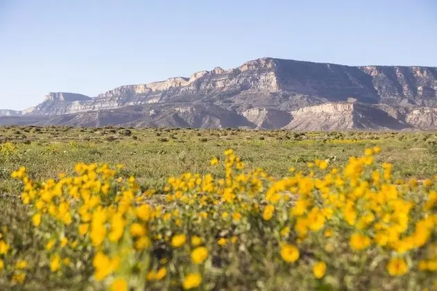 Standard Oda, 1 En Büyük (King) Boy Yatak, Engellilere Uygun