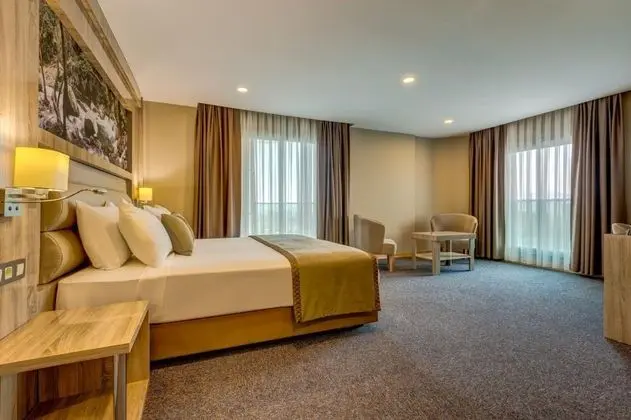 Junior Suite, Orman veya Şehir Manzaralı, Balkonlu