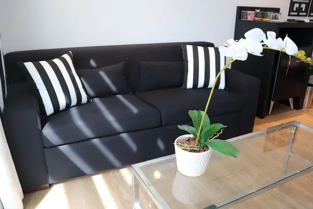 Süit, Sıcak Su Küveti