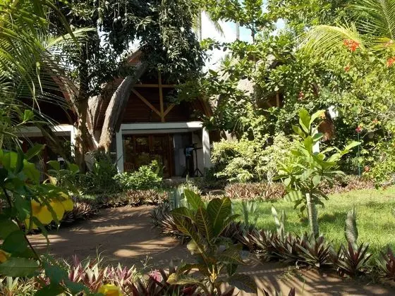 Standard Bungalov (1   )