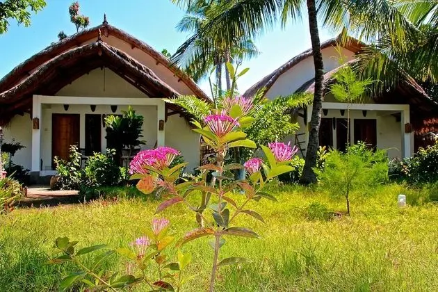 Standard Bungalov (1   )