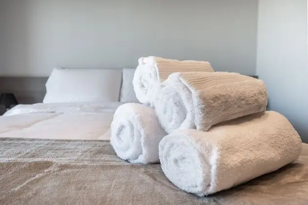 Business Stüdyo Süit, 1 Çift Kişilik Yatak, Mutfak, Şehir Manzaralı