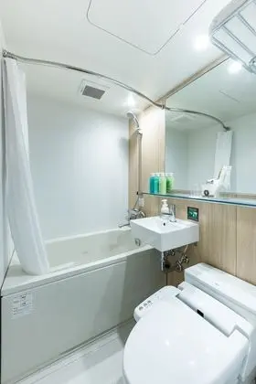 Tek Büyük Yataklı Oda, Sigara İçilmez (Limited Cleaning Service/With Bathtub)