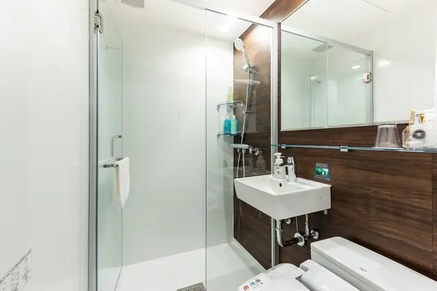 Tek Büyük Yataklı Oda, Sigara İçilmez (Shower Booth only, Semi)