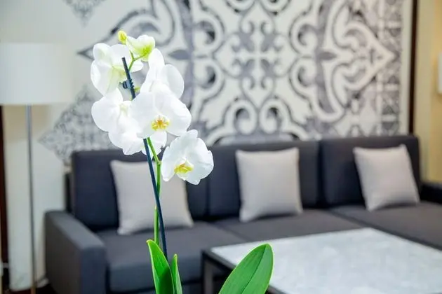 Luxury Oda