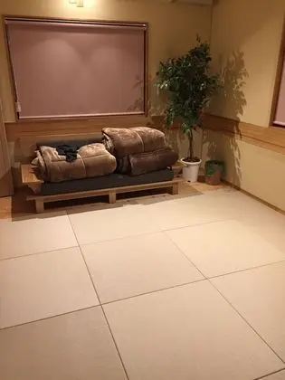 Ev