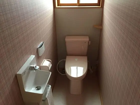 Ev