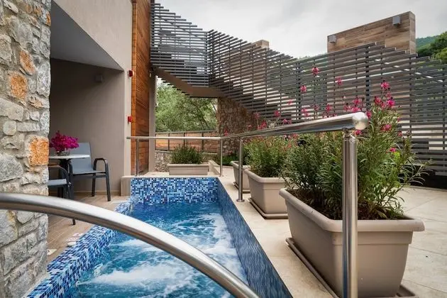 Double room Plunge Pool