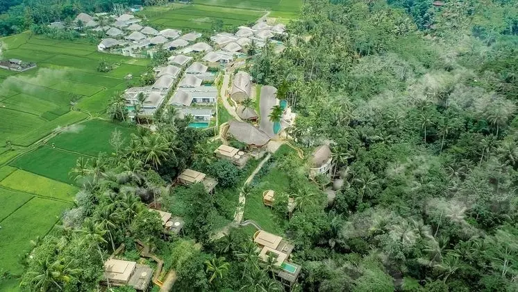 Luxury Villa, 2 Yatak Odası (Paddy View)