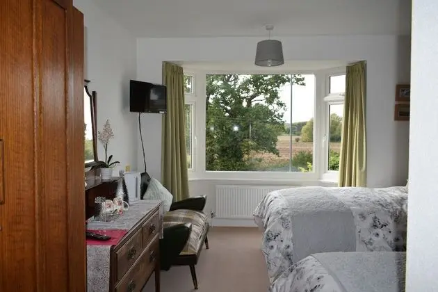 Deluxe İki Ayrı Yataklı Oda, Birden Çok Yatak, Park Manzaralı