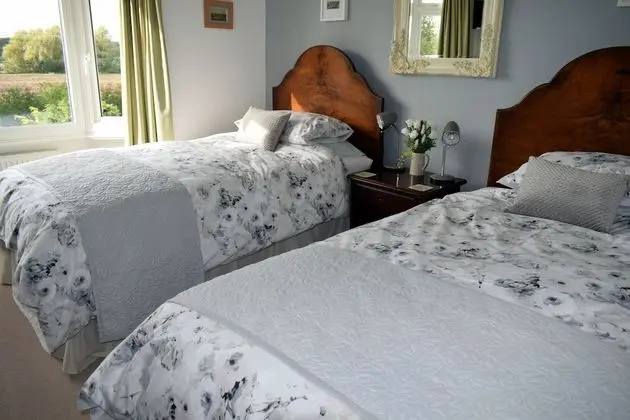 Deluxe İki Ayrı Yataklı Oda, Birden Çok Yatak, Park Manzaralı