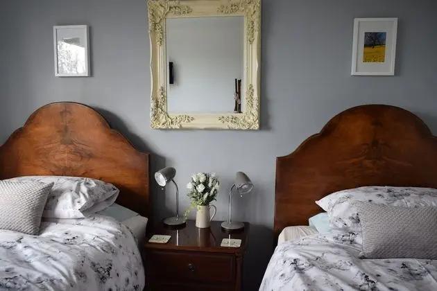 Deluxe İki Ayrı Yataklı Oda, Birden Çok Yatak, Park Manzaralı