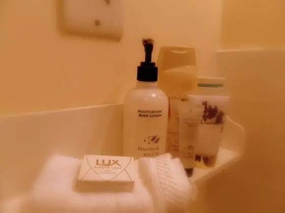 Deluxe İki Ayrı Yataklı Oda, Birden Çok Yatak, Park Manzaralı