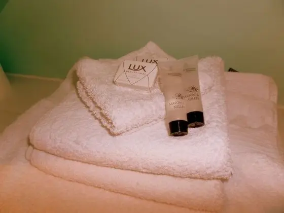 Deluxe Üç Kişilik Oda, Birden Çok Yatak, Park Manzaralı