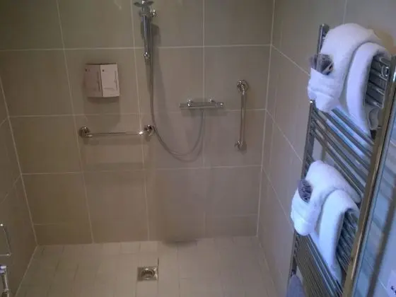 Standard Tek Büyük Yataklı Oda, Engellilere Uygun (Disabled Friendly)