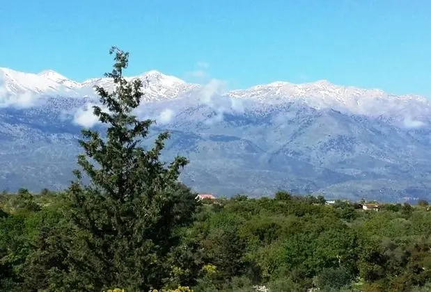 Villa, Birden Çok Yatak