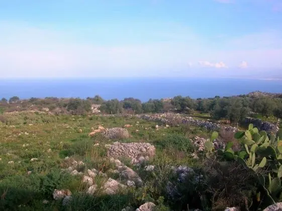 Villa, Birden Çok Yatak