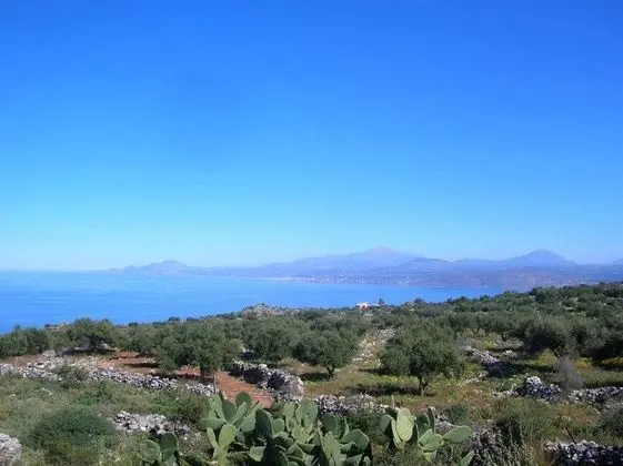 Villa, Birden Çok Yatak