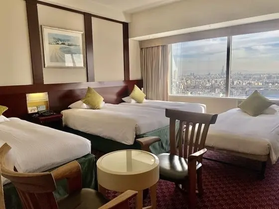Superior Dört Kişilik Oda, Sigara İçilmez (High Floor)