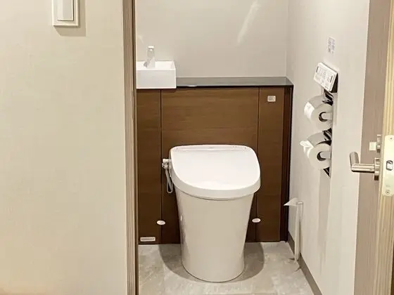 Basic Tek Büyük Yataklı Oda, 1 Büyük (Queen) Boy Yatak, Sigara İçilmez (Shower Only, No Bathtub)