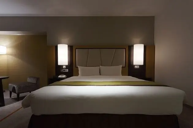 Deluxe Tek Büyük Yataklı Oda, Sigara İçilmez (Plaza Deluxe South King)