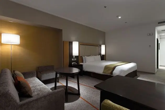 Deluxe Tek Büyük Yataklı Oda, Sigara İçilmez (Plaza Deluxe South King)