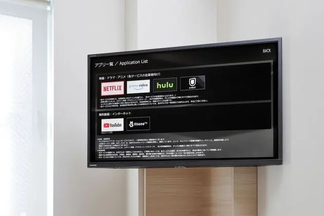 Televizyon