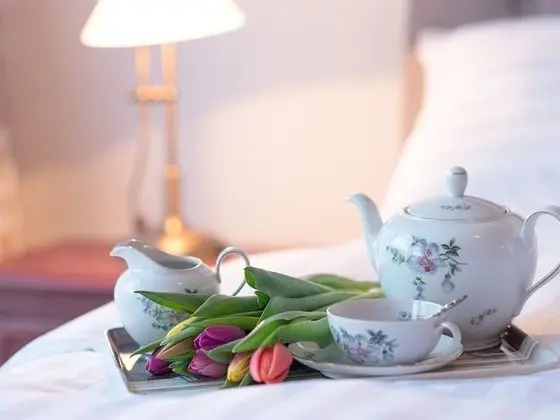 Deluxe Stüdyo, Banyolu/Duşlu