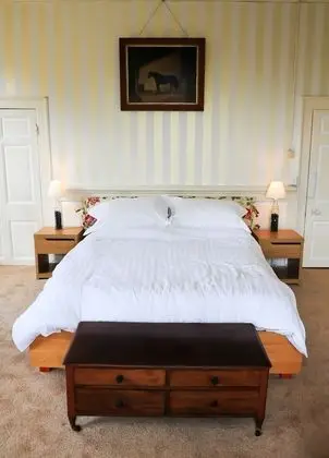 Superior Tek Büyük Yataklı Oda (Gold Room)