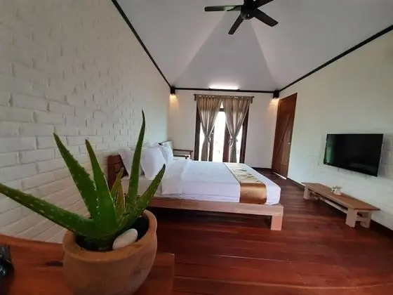 Deluxe Tek Büyük Yataklı Oda
