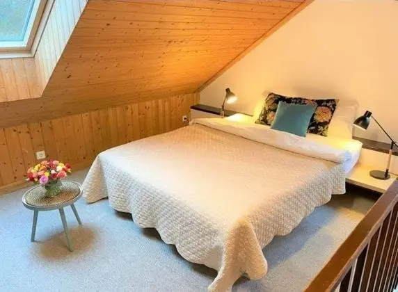 Deluxe Stüdyo Süit, 1 Çift Kişilik Yatak, Sigara İçilmez