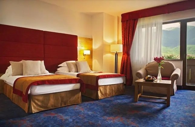 Deluxe Oda, 2 Tek Kişilik Yatak, Manzaralı (Town View)