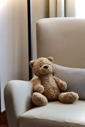 Superior Tek Büyük Yataklı Oda, 1 En Büyük (King) Boy Yatak