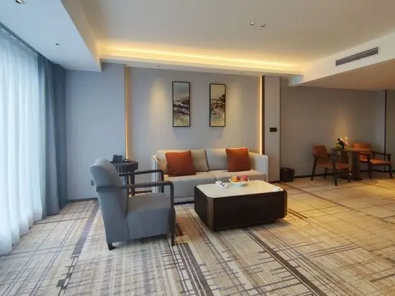 Swiss, Süit, 1 En Büyük (King) Boy Yatak, Şehir Manzaralı