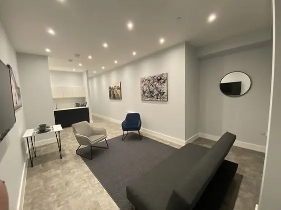 Deluxe Apart Daire, Engellilere Uygun, Özel Banyo (Manhattan style apartment)