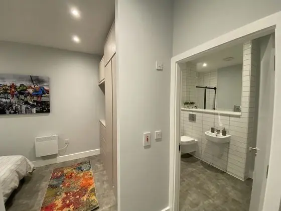Deluxe Apart Daire, Engellilere Uygun, Özel Banyo (Manhattan style apartment)