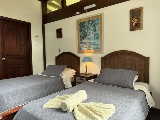 Standard Tek Büyük Yataklı Oda, 2 Tek Kişilik Yatak