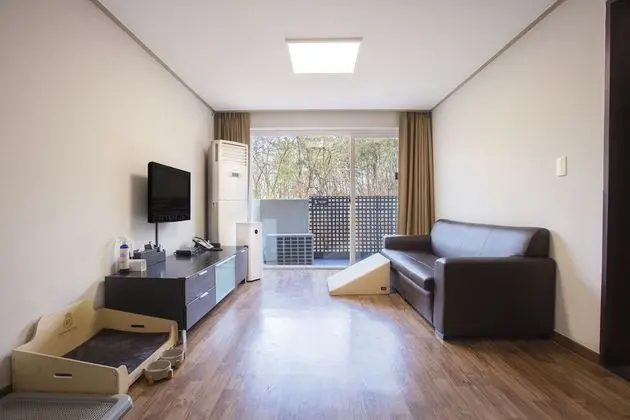 Kensington Deluxe Pet (Renewal)