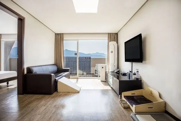 Kensington Premier Pet  (Renewal)