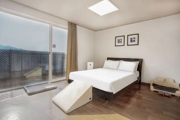 Kensington Studio Pet (Renewal)