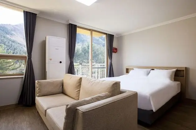 Premier Plus (28PY)