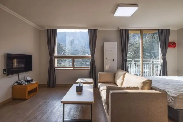 Premier Plus (28PY)