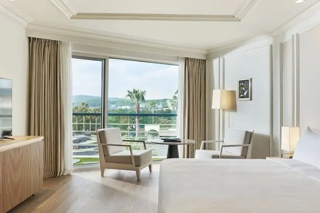 Deluxe Oda, 1 En Büyük (King) Boy Yatak, Bahçe Manzaralı (Main Building)