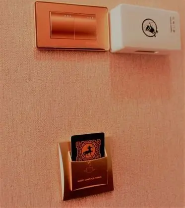 Deluxe Tek Kişilik Oda