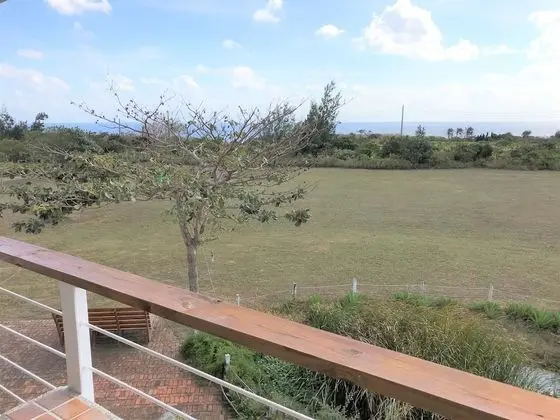 Tek Büyük Yataklı Oda, Okyanus Manzaralı (B1-2 single beds)