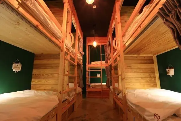 Standard Ortak Ranzalı Oda, Karma Ranzalı Oda (10 bed)