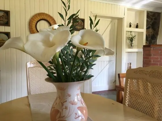 Kır Evi, Bahçe Manzaralı