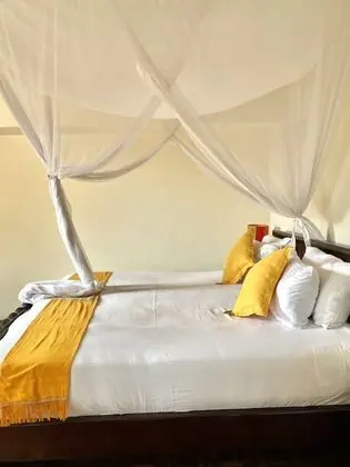 Çatı Katı Süiti (Penthouse)