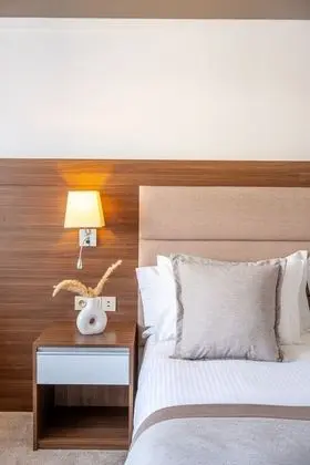 Deluxe Tek Büyük veya İki Ayrı Yataklı Oda, Şehir Manzaralı